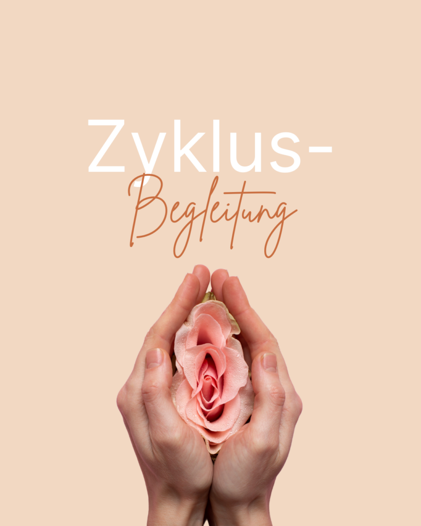 zyklus (1)